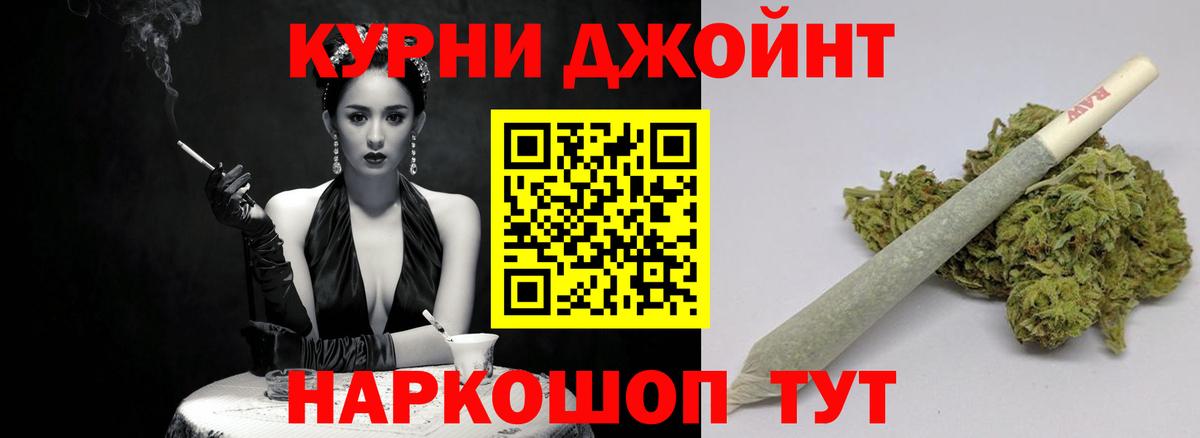 Марихуана сатива Кыштым